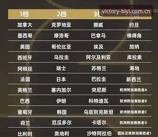 世界杯热潮vs签证困境：约旦土耳其球迷的观赛之路与必一体育平台上的赛事体验对比分析